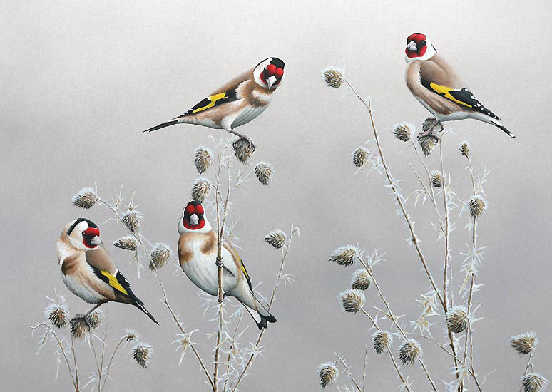 chris lodge_watercolor painting birds