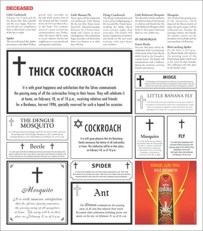 cockroach.jpg