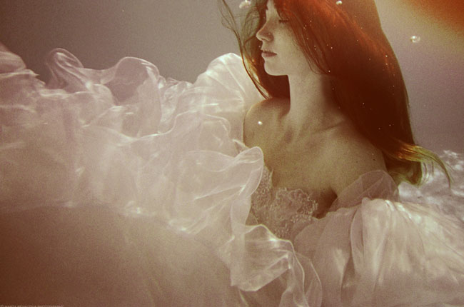 Best_underwater_pictures (12)
