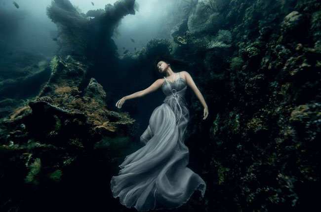 Best_underwater_pictures (6)
