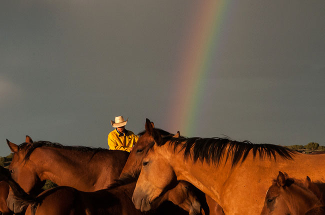 Horses_Ranch_Lifestyle_Zach_Doleac
