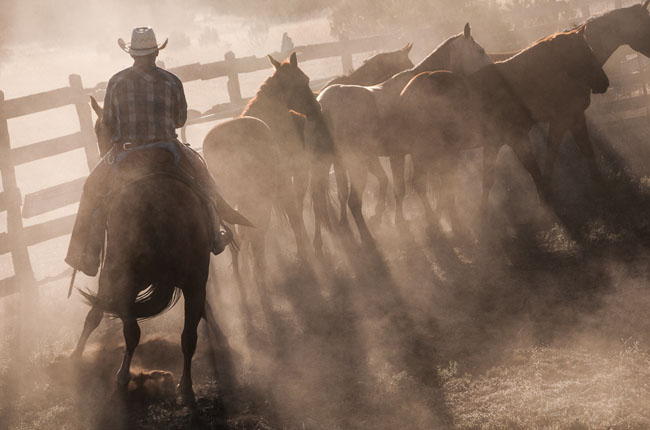 Horses and Ranch Lifestyle by Zach Doleac (12)
