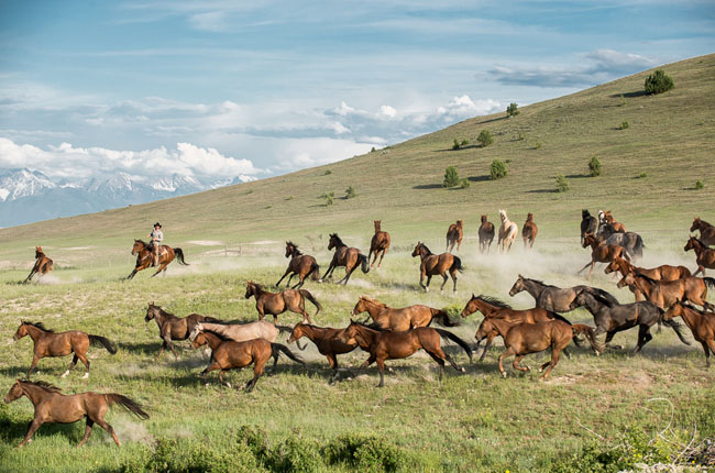 Horses and Ranch Lifestyle by Zach Doleac (6)
