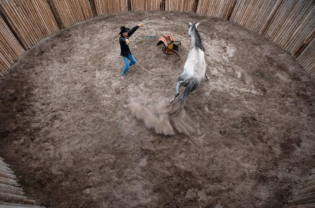 Horses and Ranch Lifestyle by Zach Doleac (9)