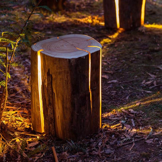 The lamp made from an old tree stump