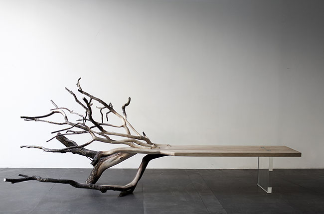 “FallenTree”-bench-from-glass-and-the-remains-of-an-oak
