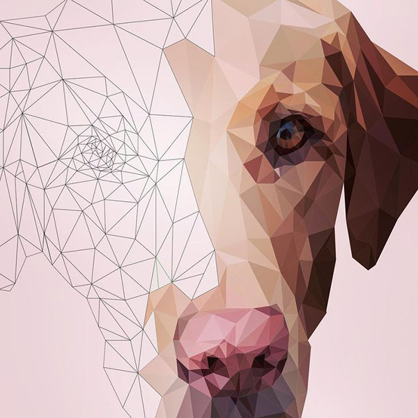 3D-Illustrations-Suzanne-Waters