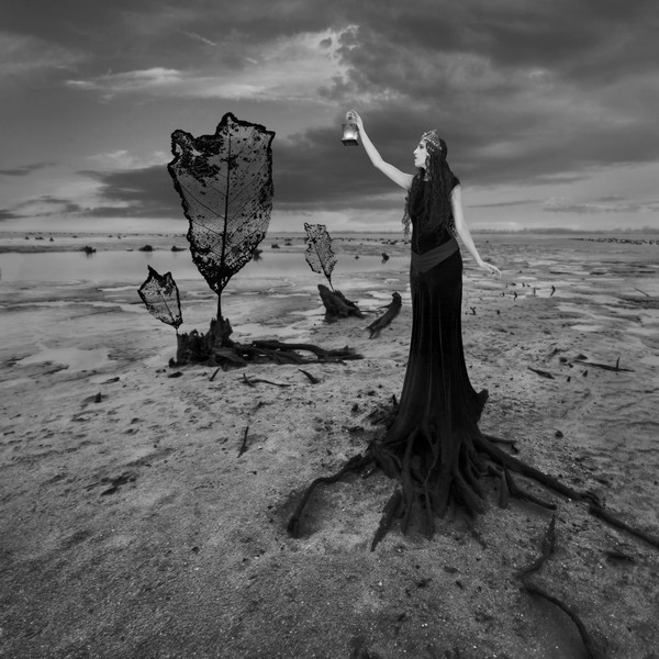 Photo_manipulation_by_Dariusz_Klimczak (10)