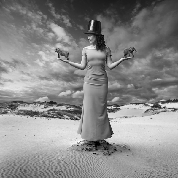 Photo_manipulation_by_Dariusz_Klimczak (13)