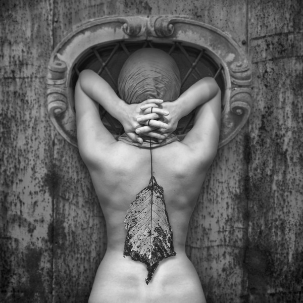Photo_manipulation_by_Dariusz_Klimczak (15)