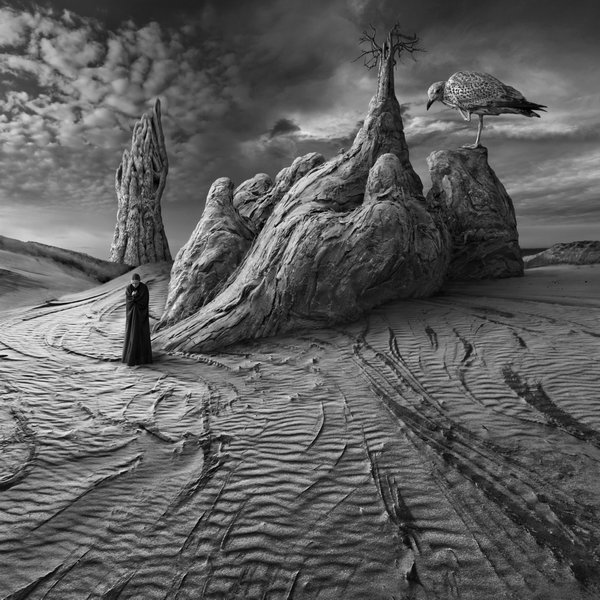 Photo_manipulation_by_Dariusz_Klimczak12 (2)