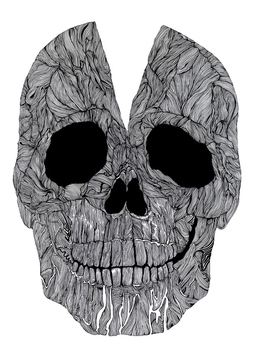 Skull_Illustrations_by_Sam_Sephton