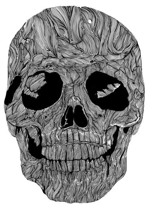 Skull_Illustrations_by_Sam_Sephton (3)