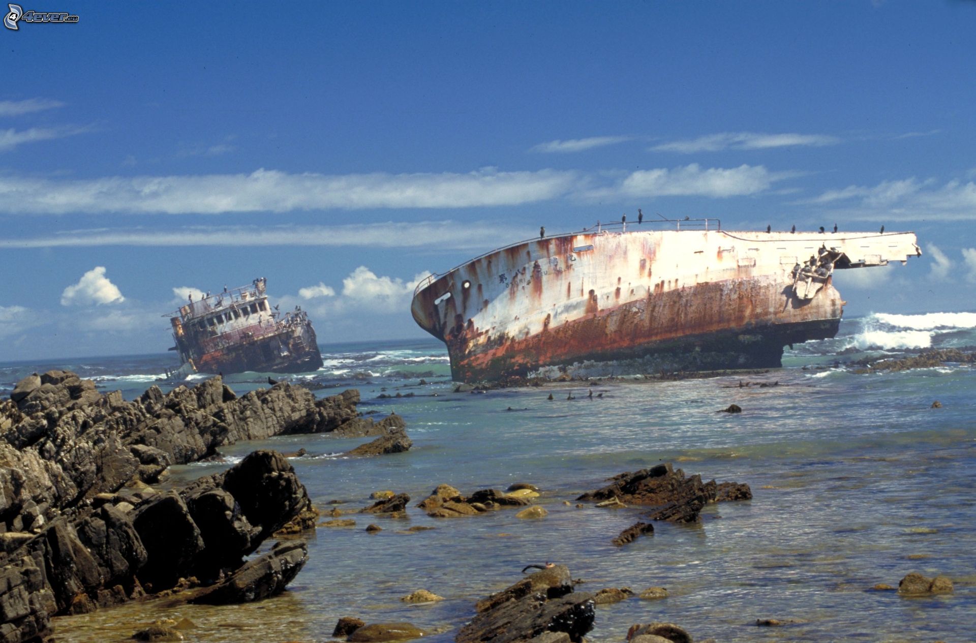 abandoned_ships_at_sea (9)