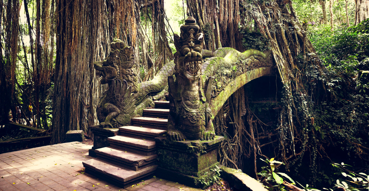 Bali_Ubud_Monkey_Forest