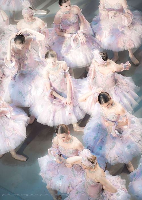 Paintings and Illustrations of Ballet Dancers (7)