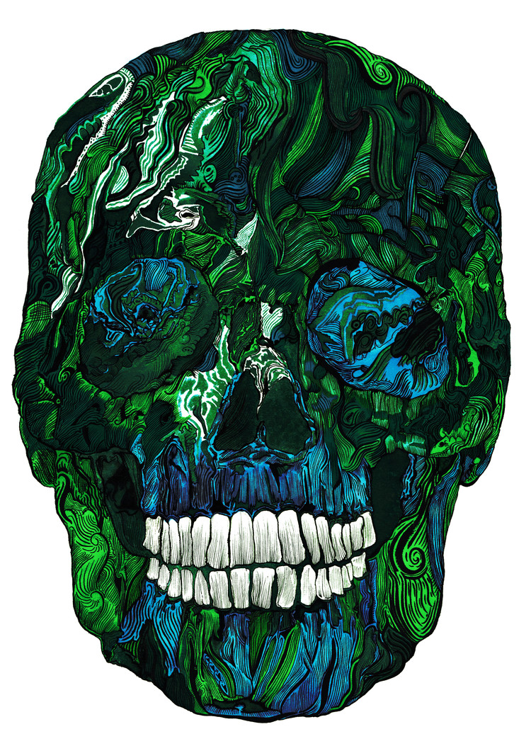 Extraordinary Human Skull Illustration