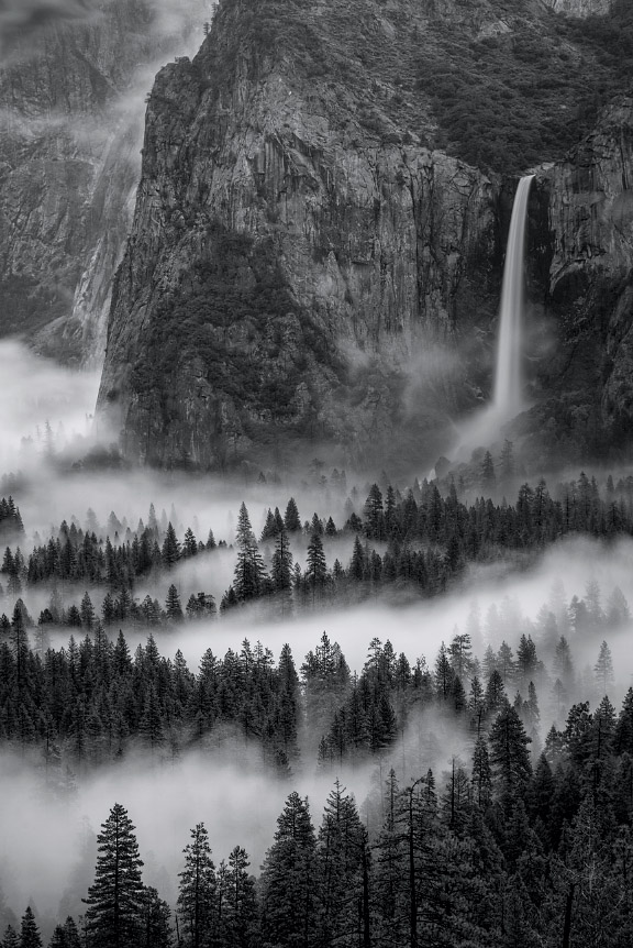 “Yosemite Fog” by diversionphotography