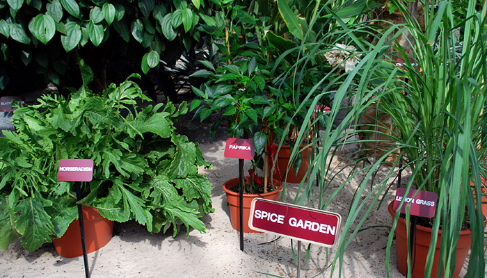 matale-spice-garden