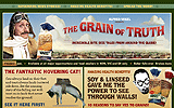 Vogel's Grain of Truth