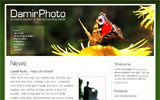 DamirPhoto