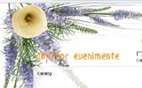 4Night.ro Director