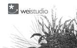 weistudio