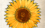 Agriturismo Al Doge