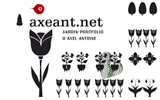 AxeAnt