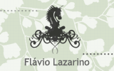 Portfolio Flávio Lazarino