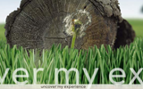 My Site