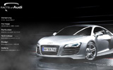FACTS of Audi