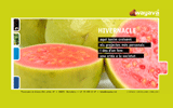 Wayava. Graphic design