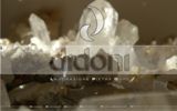Official site of company Didoni