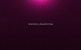 Killermuse Official website