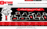 NETWiSE Strategies