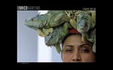 Enrico Martino - Photoreporter