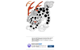 webdesignergroup