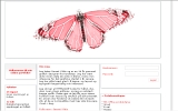 Europium desgins