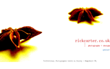 Rick Carter Photography and Design