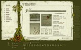 QUANDTNET