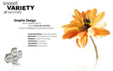 Studio Bee Creations
