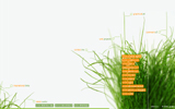 GEDIMO webdesigner // Portfolio