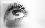 Inlusion Design Studios