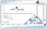 dsf - effective web site design