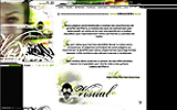 contaminacion visual