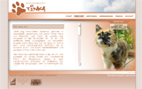Katzenhotel Tinka