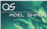 Adel Shalaby's Portfolio