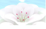 myjapan