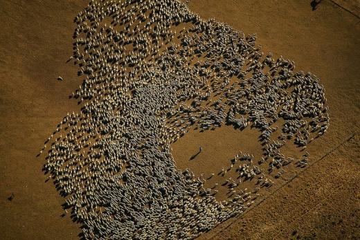 Planet Earth: The view from the above Planet Earth: The view from the above